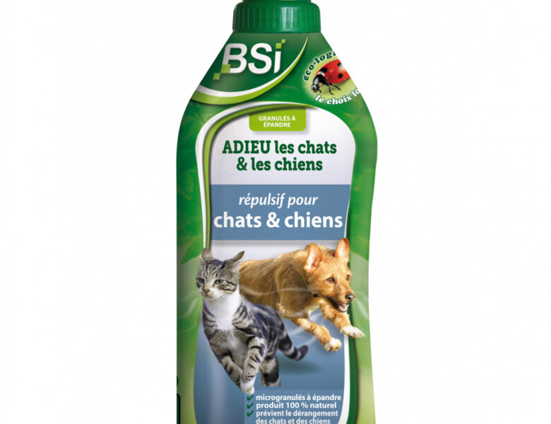 Comment éloigner efficacement les chats de votre jardin en 2025 ?