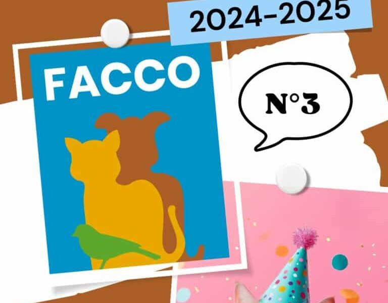 Combien de temps vit un chat en 2025 ?